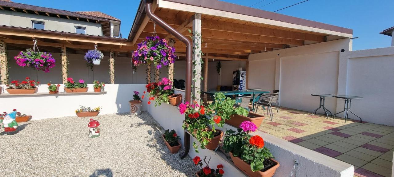Soliday Apartment Vama Veche Exterior photo
